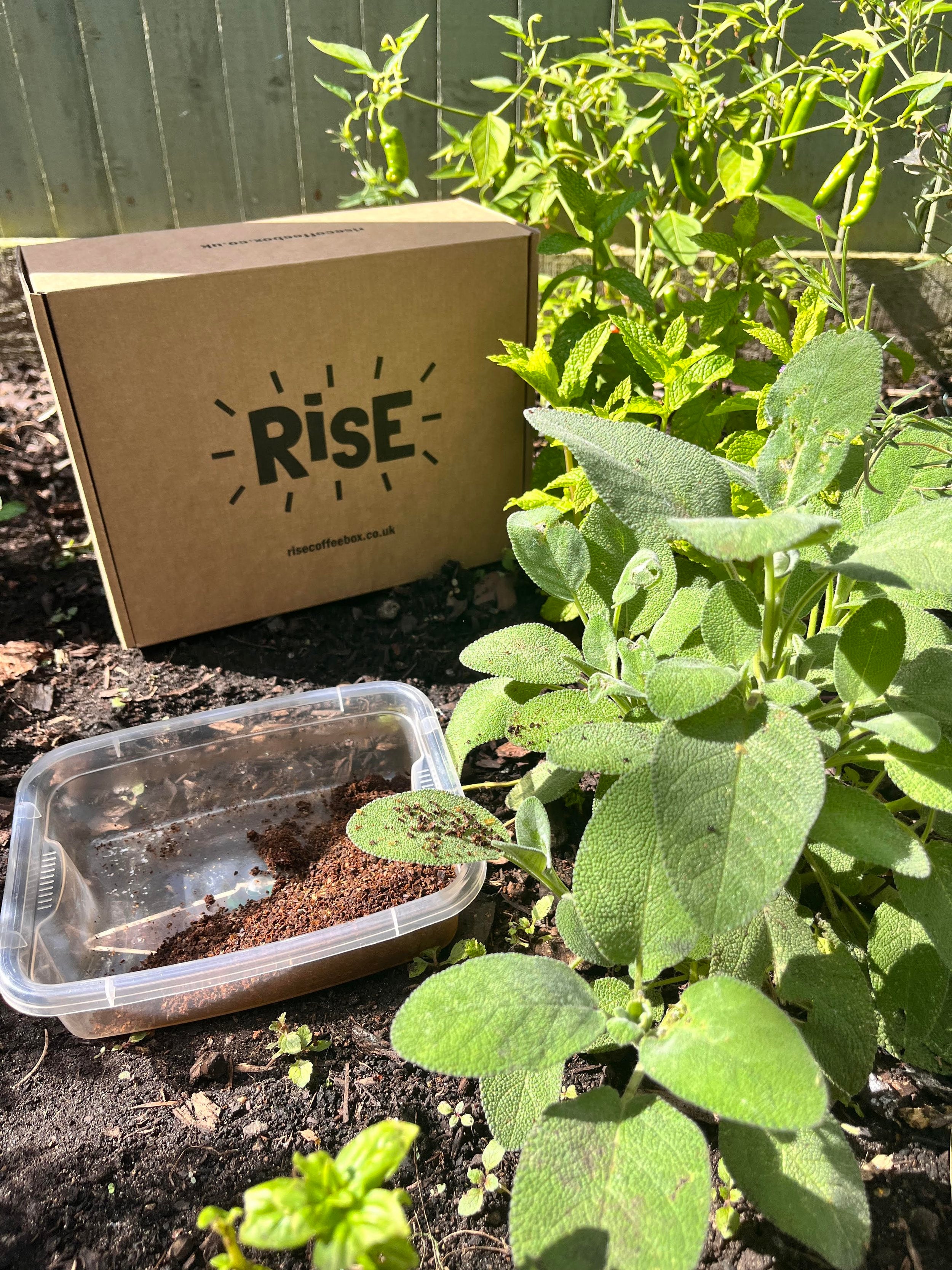 10 Ideas For Reusing Your Coffee Grounds (To Avoid Landfill