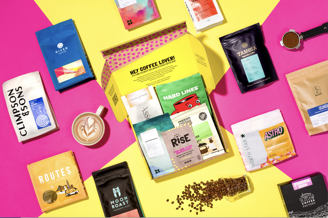 The RISE coffee brew guide