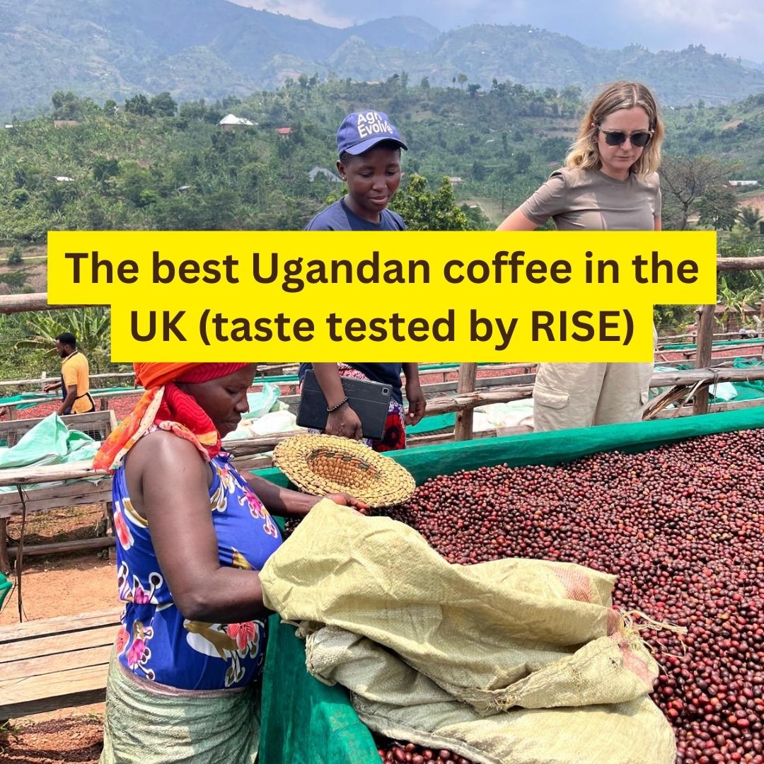 best ugandan coffee