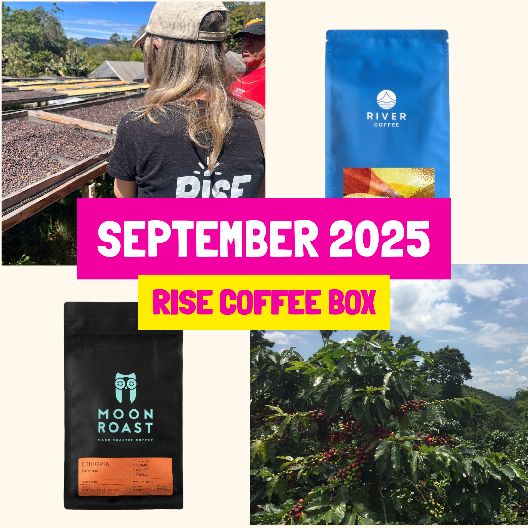 RISE Coffee Box: September coffee reveal