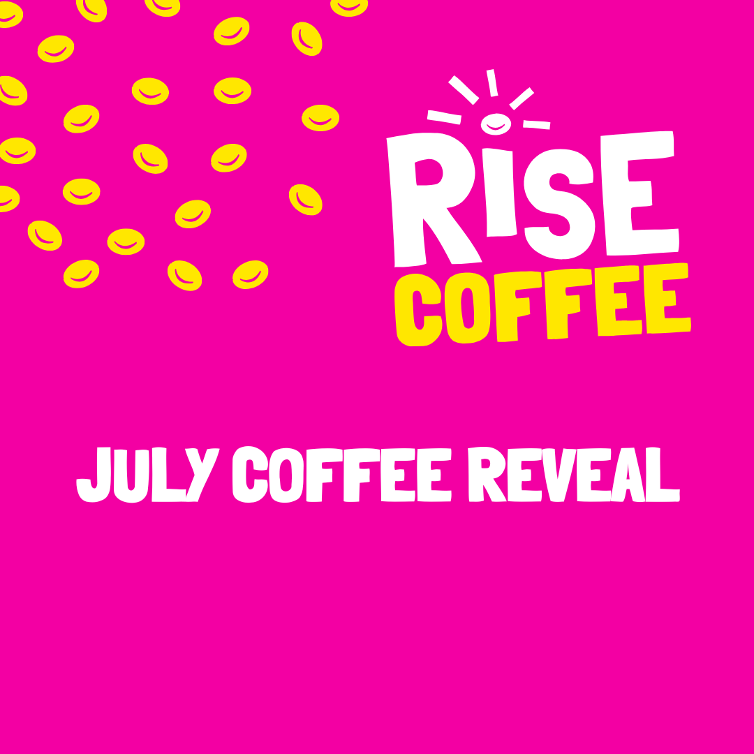RISE coffee box JULY 2025 coffee box reveal