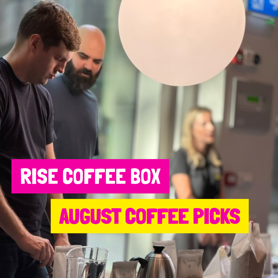 RISE coffee box AUGUST 2025 coffee box reveal