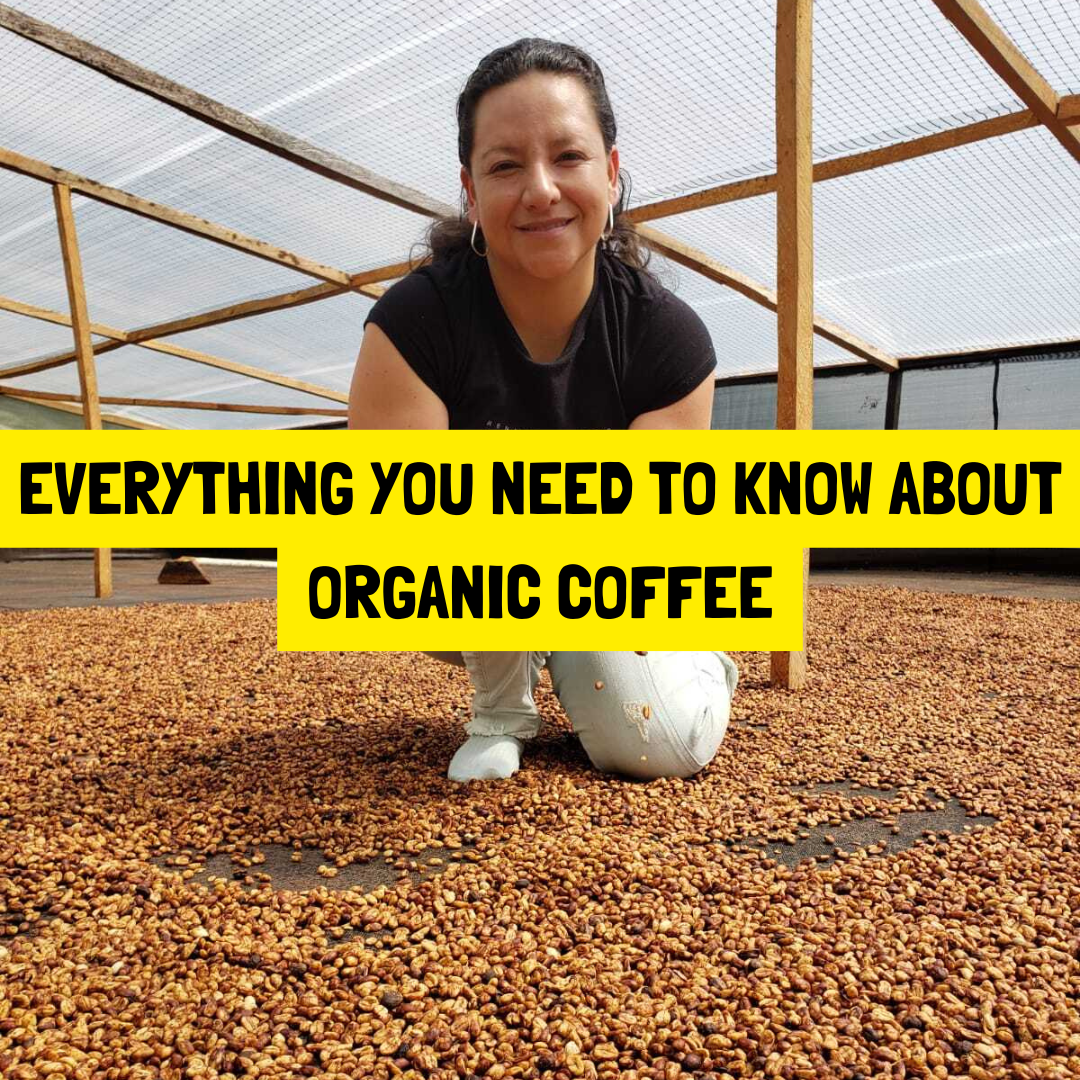 Organic Specialty Coffee: What Is It And Why Some of the Best Coffees Aren’t Certified Organic