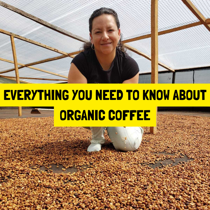 Organic Specialty Coffee: What Is It And Why Some of the Best Coffees Aren’t Certified Organic