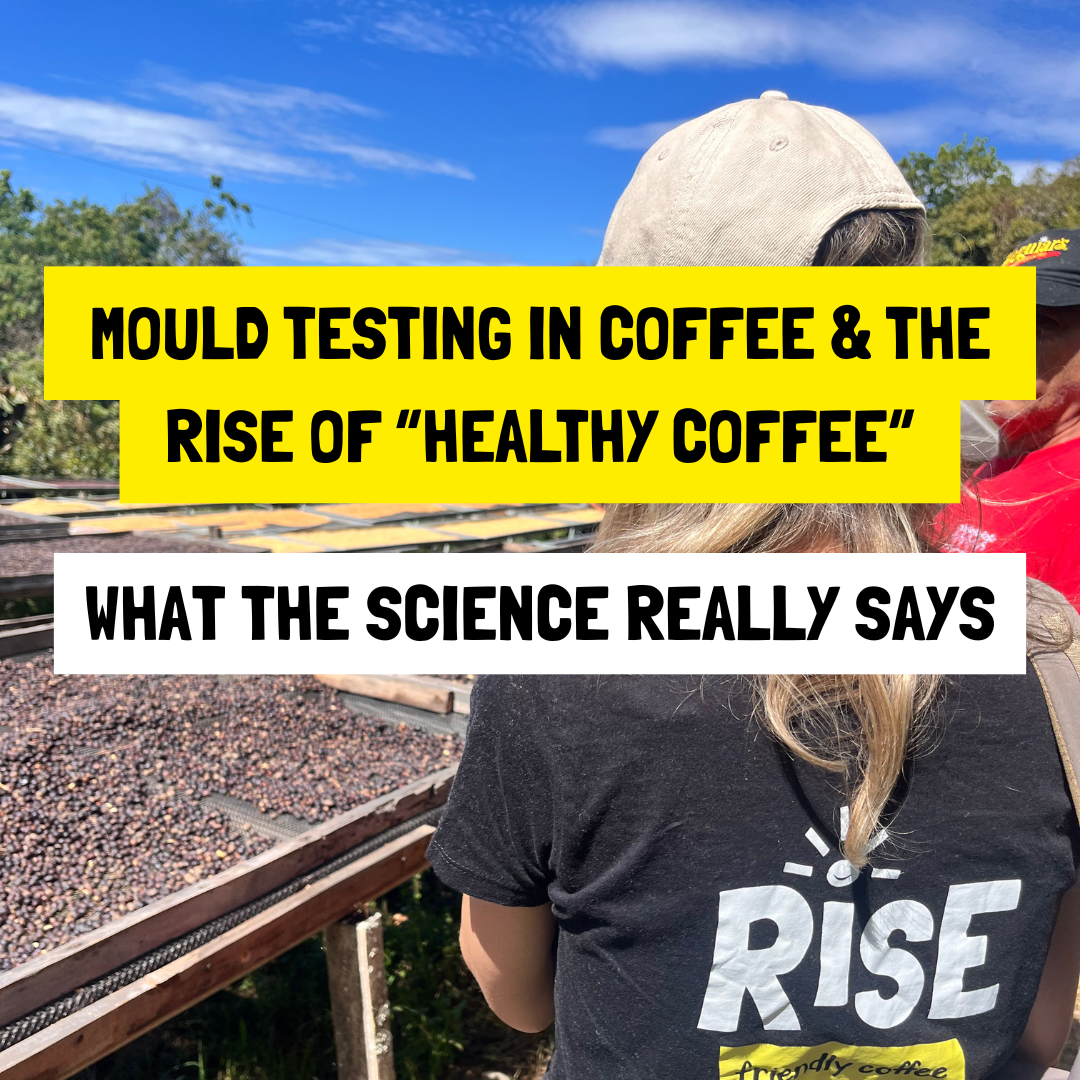 Mould Testing in Coffee & the Rise of “Healthy Coffee”: What the Science Really Says