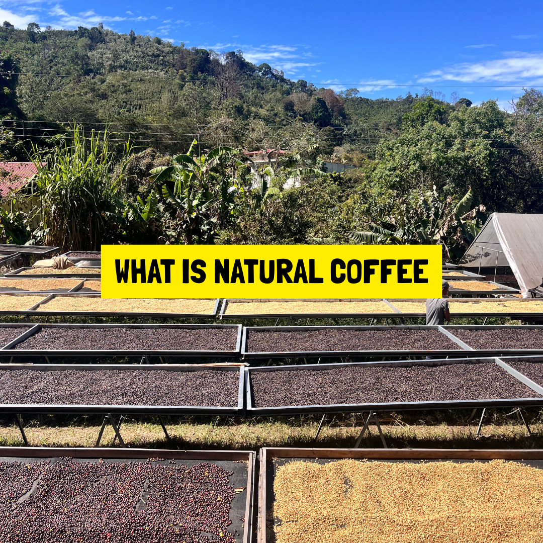 What Is Natural Coffee?