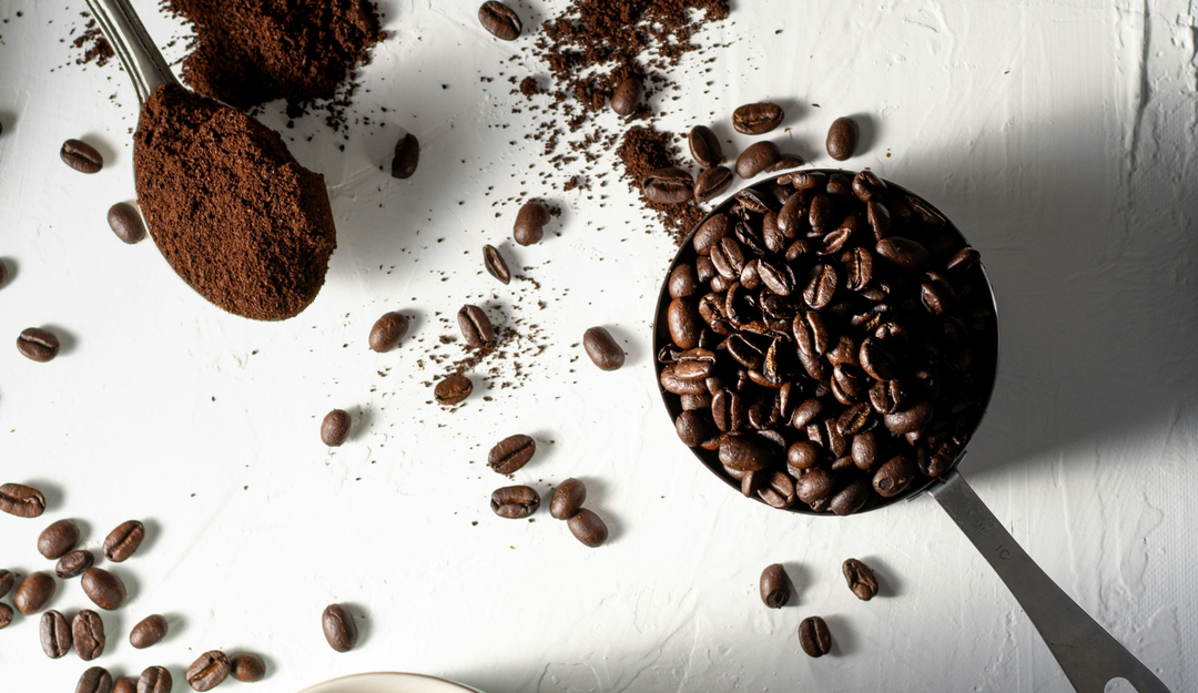Exploring the Rich World of Coffee: The Different Types of Coffee Beans