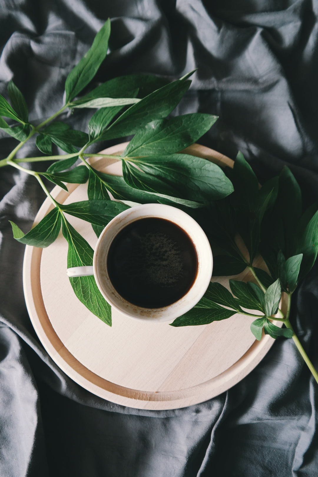 Grounds for Change: Is Your Local Coffee Shop Really as Green as It Claims?