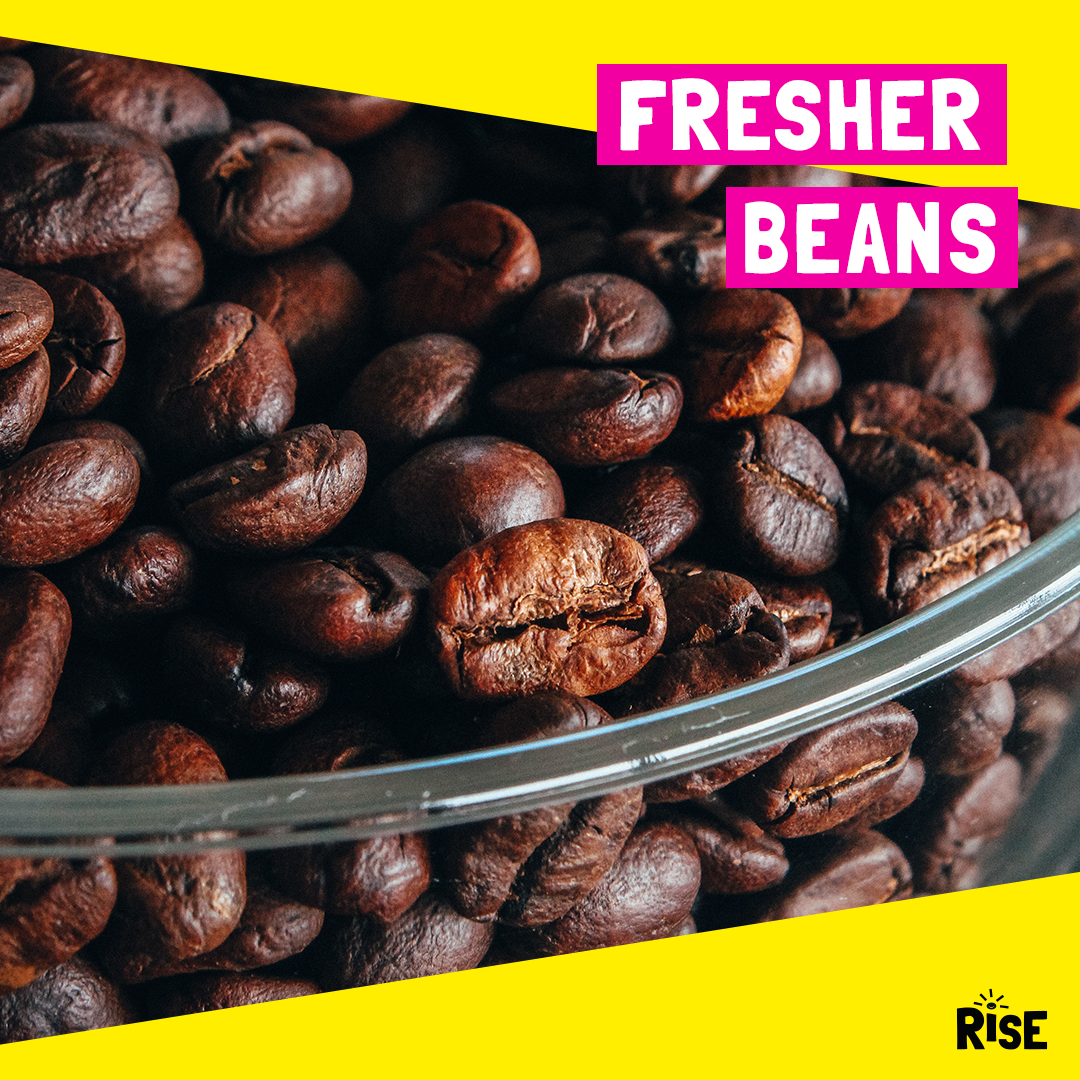 How Long Do Coffee Beans Last?