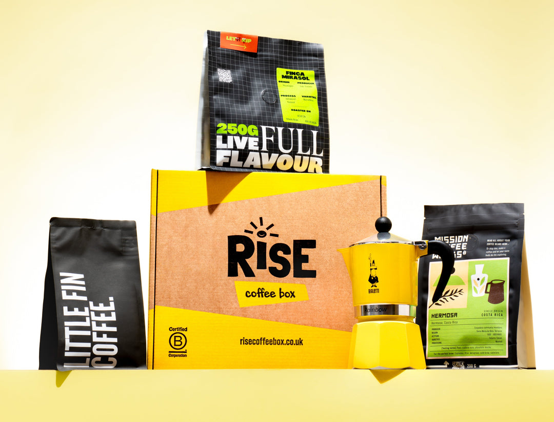 rise coffee box buy today