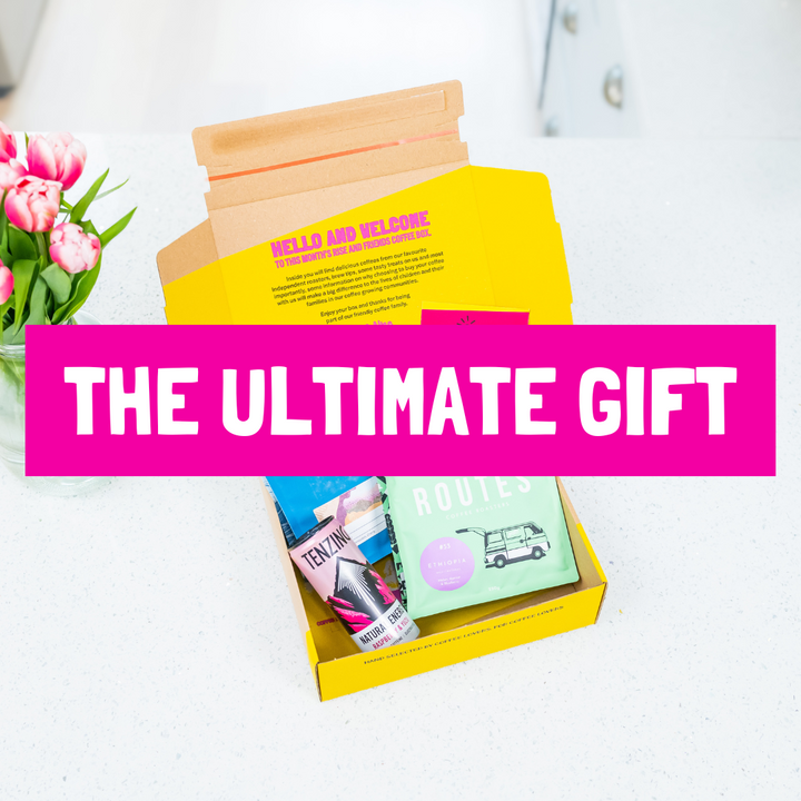 12 Month Gift Bundle