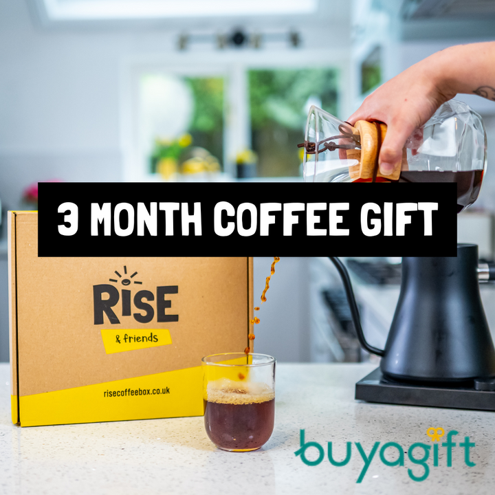 3 Month Coffee Gift Experience - Buy a Gift