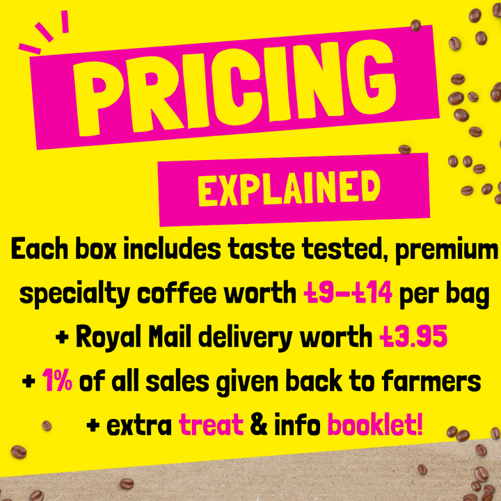RiSE Coffee Box Subscription - MyCreation Offer