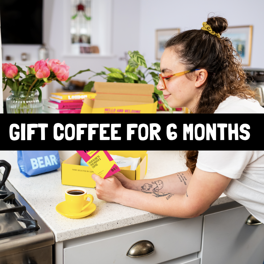 6 Month Coffee Gift Box Subscription
