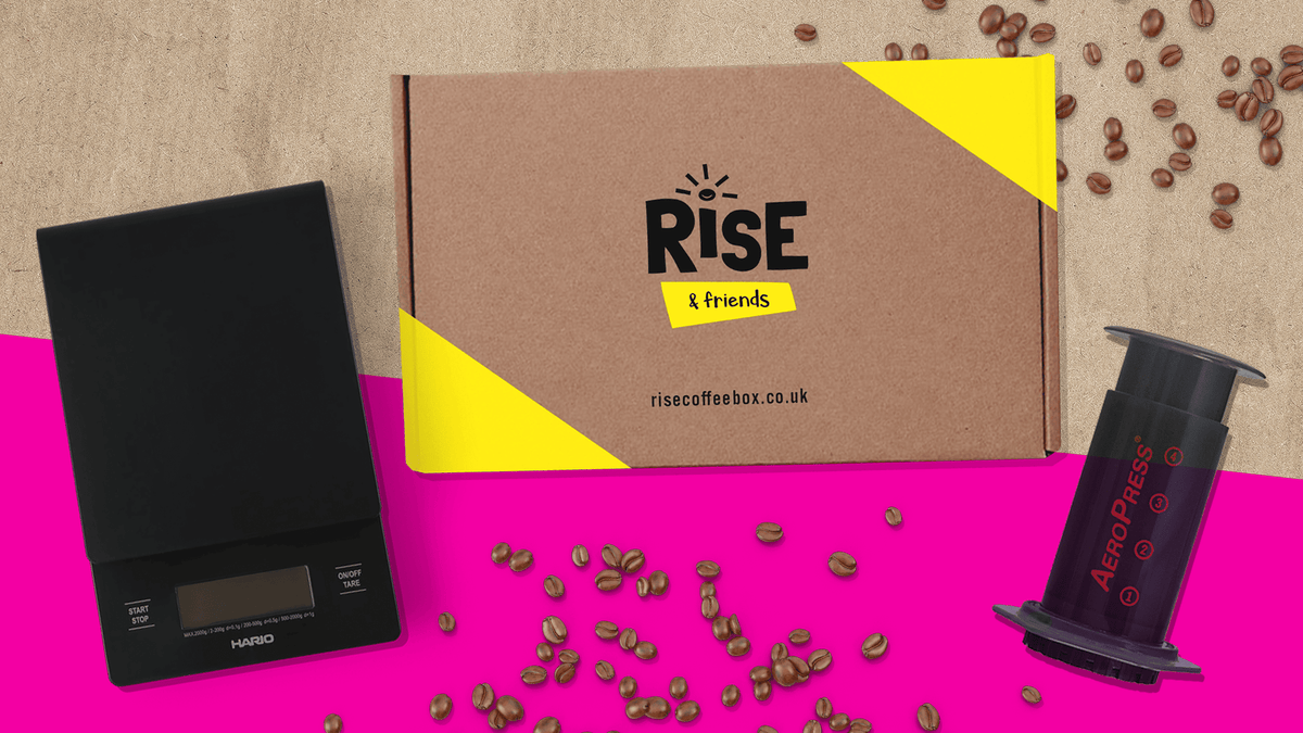 What Is Rise Coffee Coffee equipment