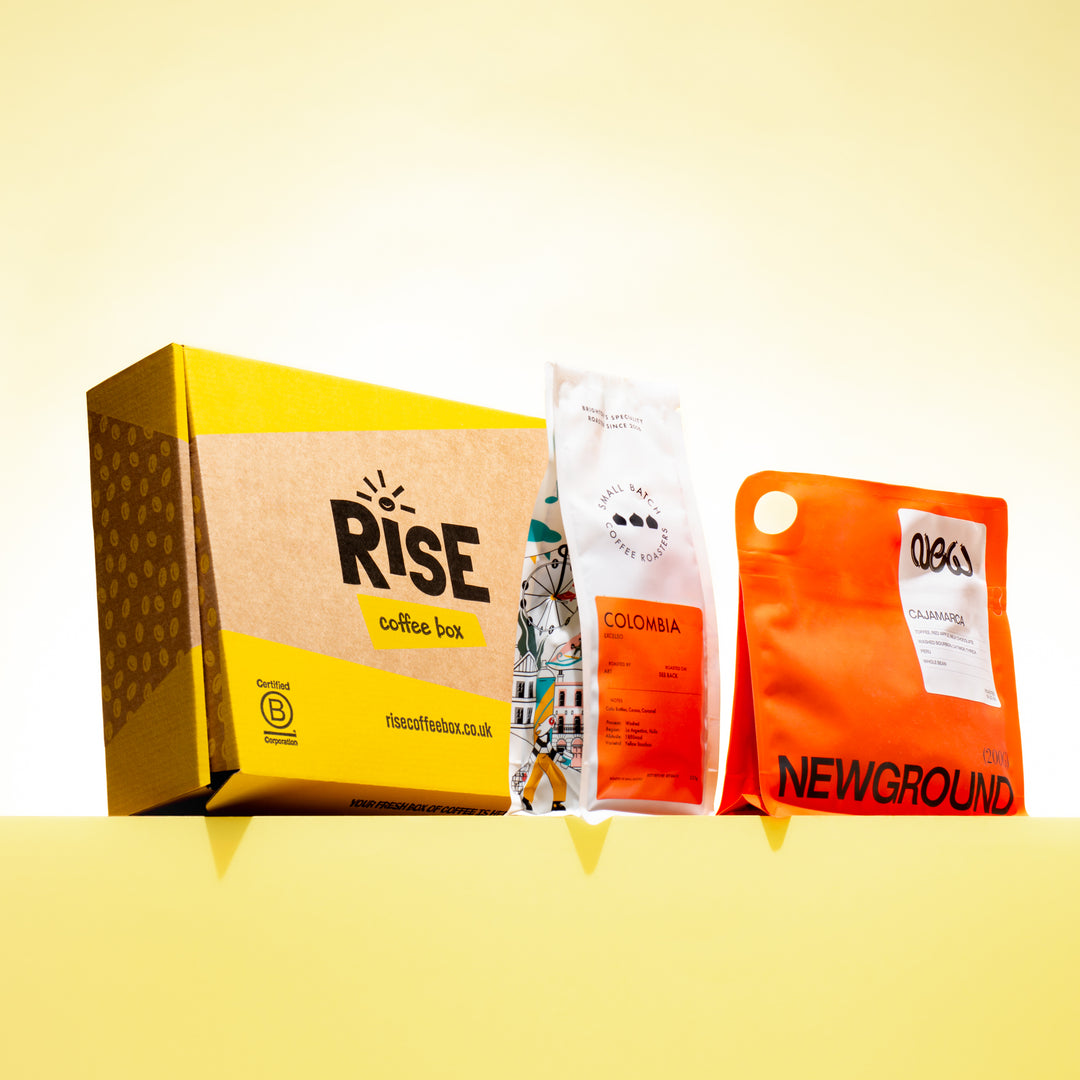 Ninja Luxe Café Mini Plus Espresso Machine - Coffee Box Subscription