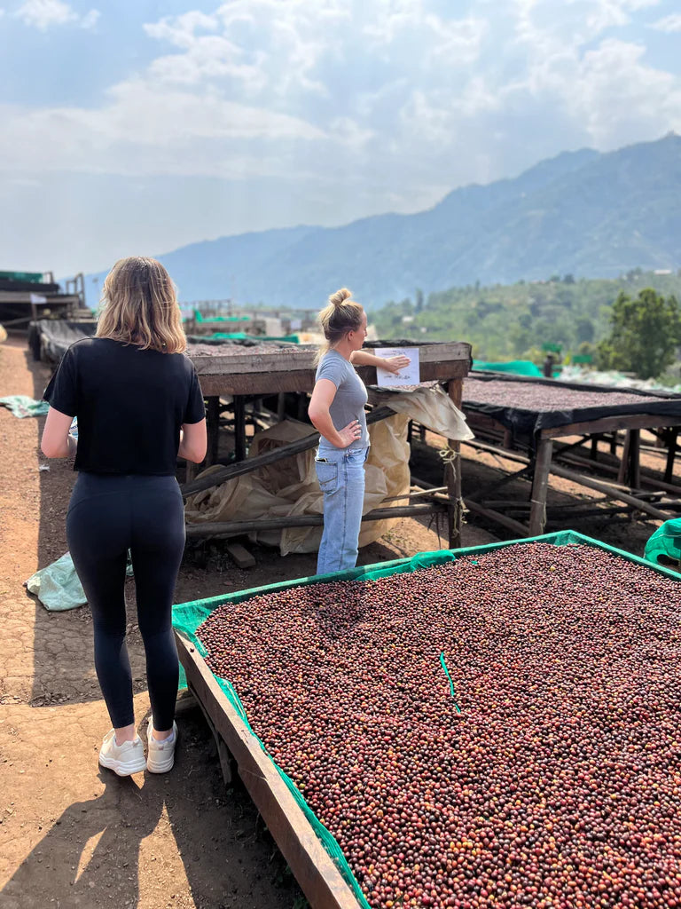 RISE Coffee farming community