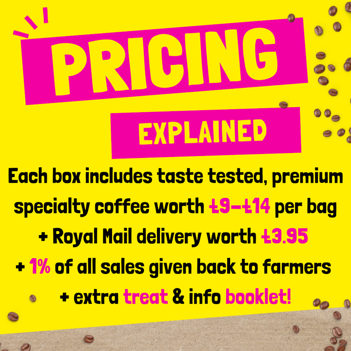 RiSE Coffee Box - With Free Gift